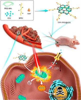 Precise Diagnosis and Therapy of Bone Cancer Using Near-Infrared Lights